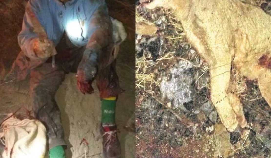 Argentino luta contra onça-parda para salvar cachorro