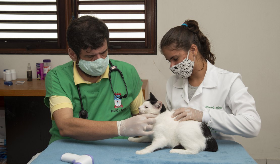 Mais de 100 gatos são vacinados em campanha no bairro do Pinheiro