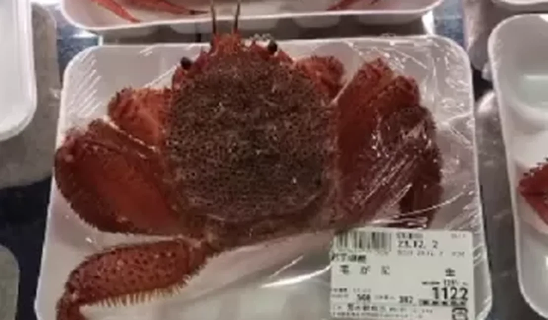 Caranguejo é embalado vivo e tenta fugir de peixaria no Japão