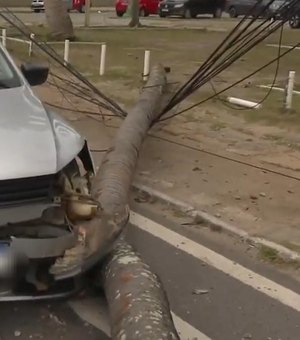 Árvore cai e atinge veículo no bairro de Cruz das Almas