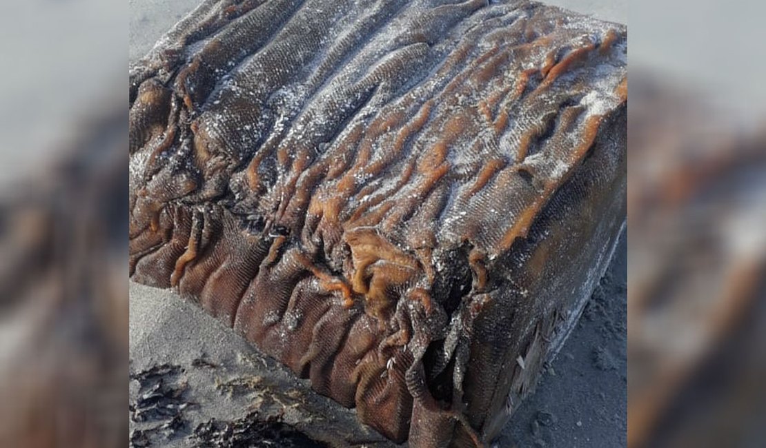 Caixa misteriosa aparece em praia do litoral nordestino