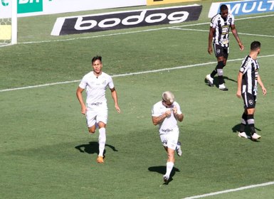 Botafogo perde para o Santos, apesar do brilho do goleiro Diego Loureiro