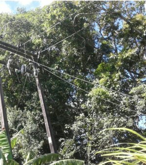 Falta de energia deixa bairros da parte alta de Maceió sem água