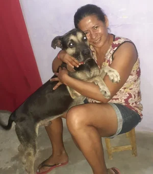 Cão viaja cinco dias para reencontrar tutora no Ceará