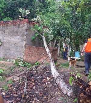 Defesa Civil de Maceió condena imóvel atingido por queda de árvore