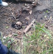Tralhadores rurais encontram crânio humano enterrado