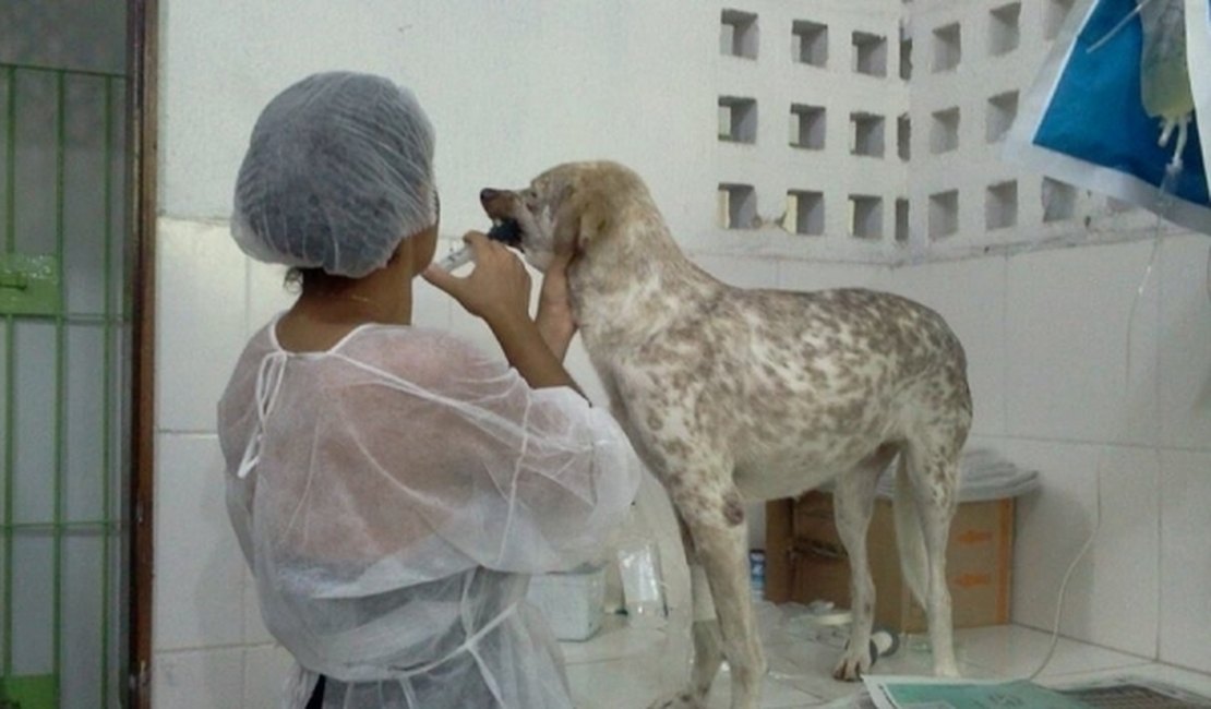 Administrador do Neafa é suspeito no caso de envenenamento de 30 cães
