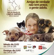 Grupo Pata Amada realiza feira de adoção de animais no Pátio Shopping