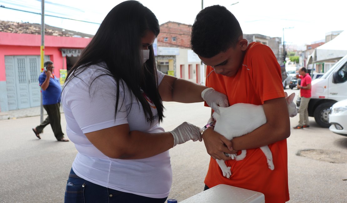 Porto Calvo inicia vacinação contra raiva para cães e gatos
