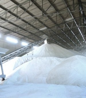 Açúcar recupera preço e anima fornecedor de cana