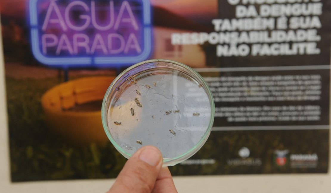 Vacina contra a chikungunya já é testada em humanos
