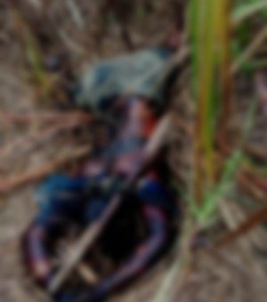 Corpo encontrado em canavial no Passo de Camaragibe é identificado