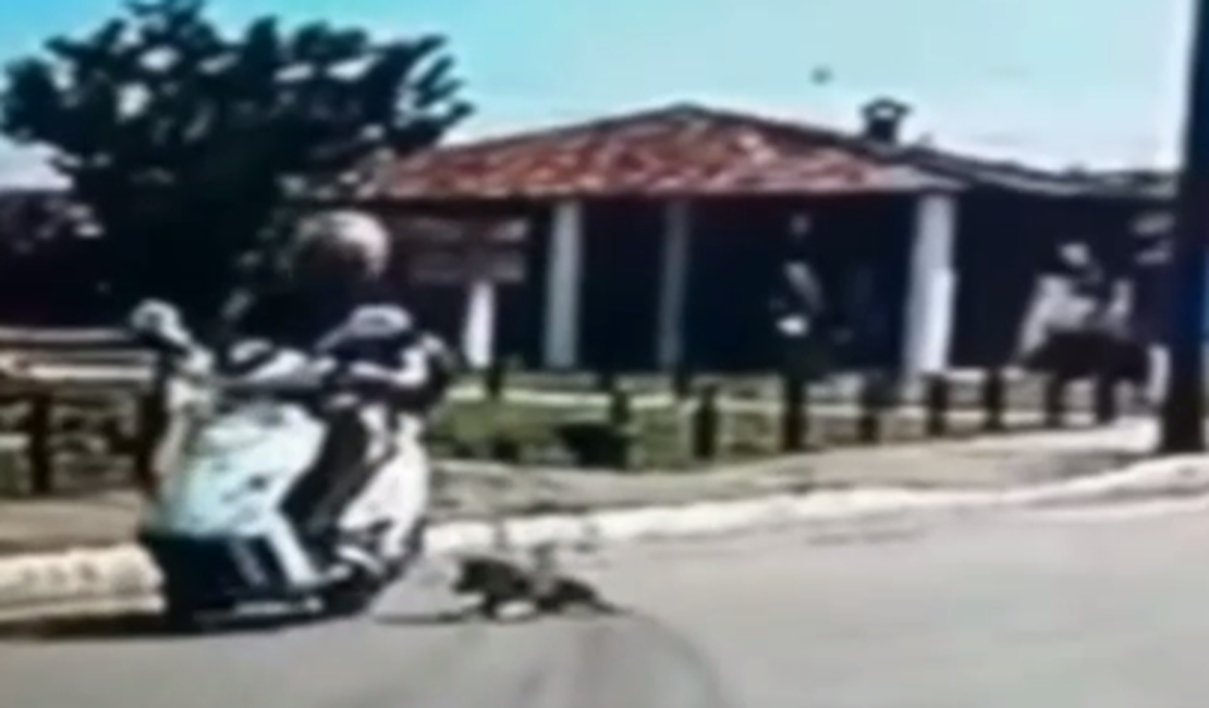 [Vídeo] Estou em processo de separação, diz mulher que arrastou cachorro em moto