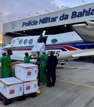 Avião que transportava vacina colide com jumento em aeroporto na Bahia