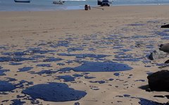 Manchas de óleo na praia do pontal do peba