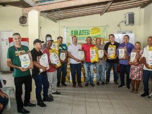 Em Penedo: Prefeitura anuncia distribuição gratuita de mudas para agricultores