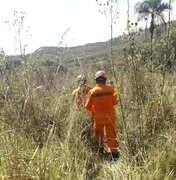 Bombeiros capturam cobra em Porto Calvo