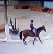 Policial é assaltado por ladrão montado à cavalo em Arapiraca