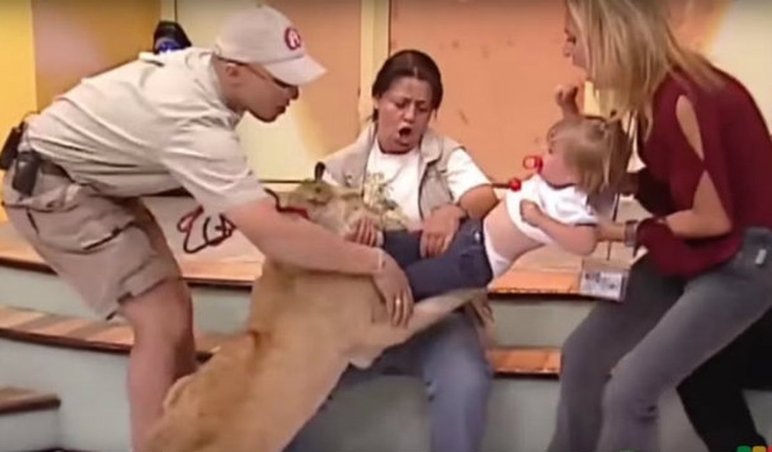 [Vídeo] Ao vivo, leão ataca criança em programa de TV mexicana