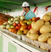Proposta regulamenta venda de produtos da agricultura familiar em supermercados