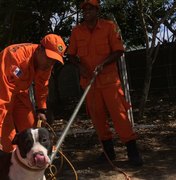 Bombeiros resgatam cachorro preso em poço na parte alta de Maceió
