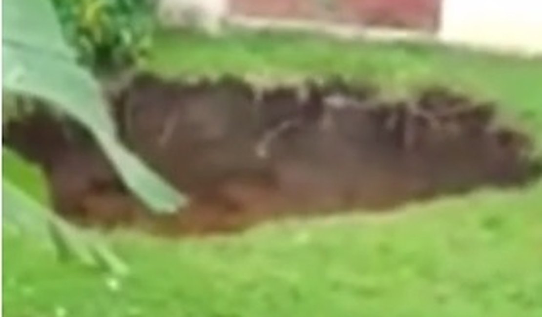 [Vídeo] Cratera se abre em jardim de casa no Pinheiro