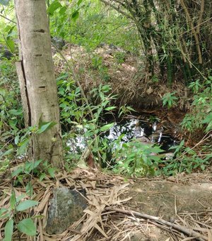 Cadáver com sinais de agressão é encontrado em poço na zona rural de Arapiraca
