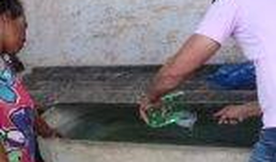 Prefeitura de Arapiraca anuncia mutirões de combate à dengue a partir de quinta-feira