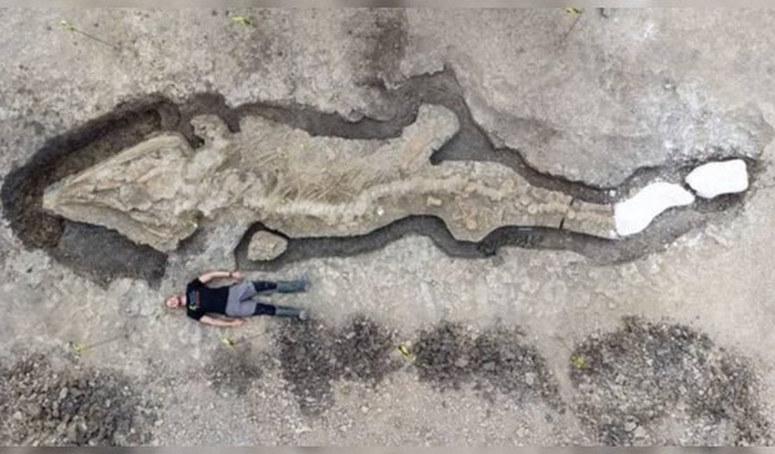 Cientistas encontram gigantesco dragão marinho de 180 milhões de anos
