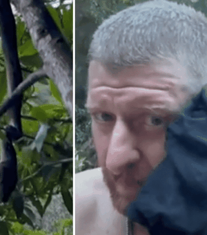 [Vídeo]   Homem é mordido no rosto ao tentar gravar serpente de perto na Austrália