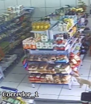 Cadela é flagrada 'furtando' pão em mercearia, no interior do Paraná