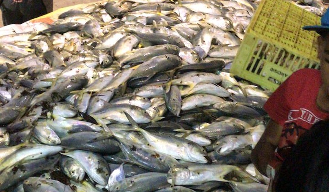 [Vídeo] Pescadores retiram grande quantidade de xaréu do mar da praia de Jatiúca