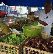 Pequeno agricultor pode fornecer itens para cestas nutricionais do governo de Alagoas