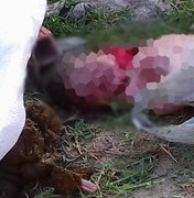 Corpo de bebê é encontrado dentro de sacola no Bairro Parque dos Faróis