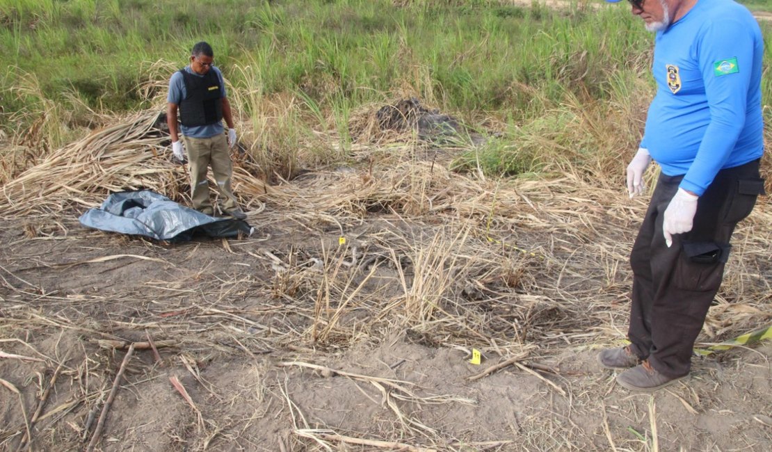 IML tenta identificar ossadas encontradas na zona rural de Campestre