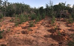 Ação integrada apreende mais de duas toneladas de maconha em Mata Grande