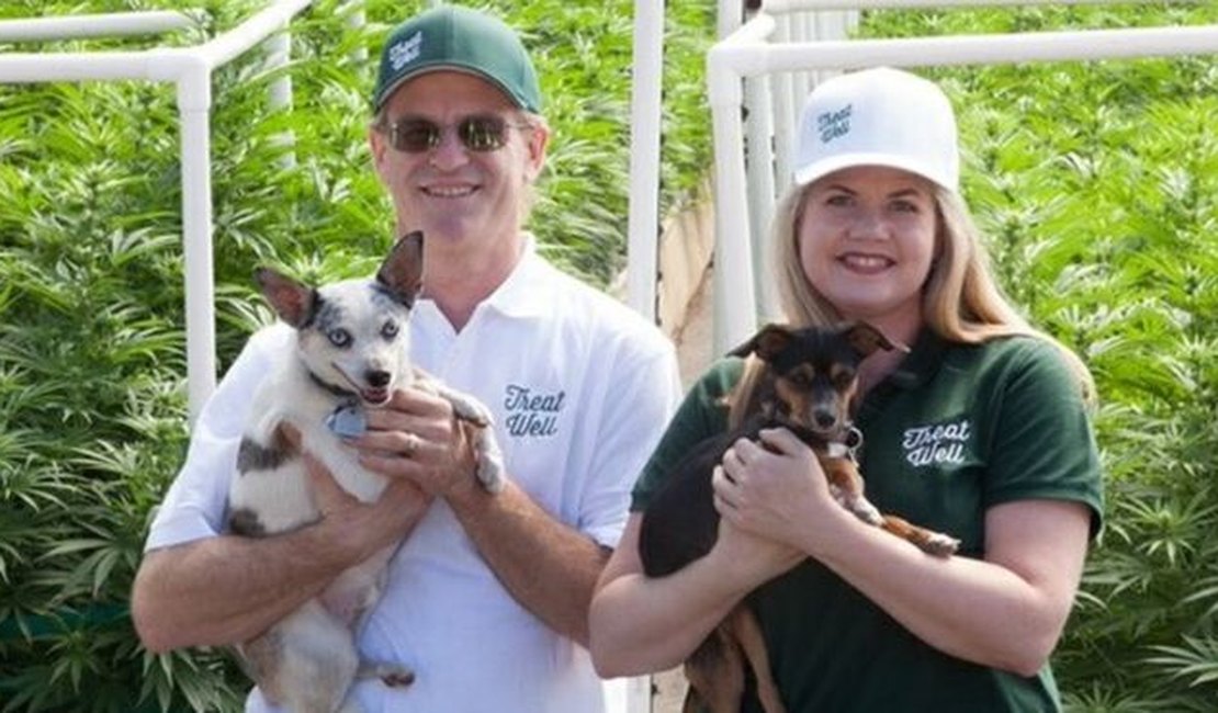 O crescente mercado da cannabis medicinal para cachorros nos EUA