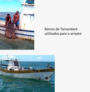 ICMBIo estabelece normas para pesca de camarão na Costa dos Corais