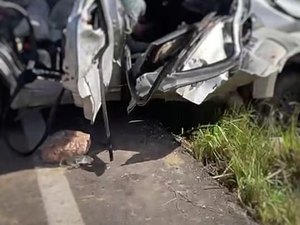 Capotamento com um veículo deixa um morto na BR 101 em Messias