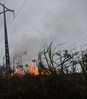 Número de focos de queimada em Alagoas este ano já ultrapassam os de 2020