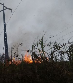 Queimadas deixam mais de 160 mil clientes sem energia