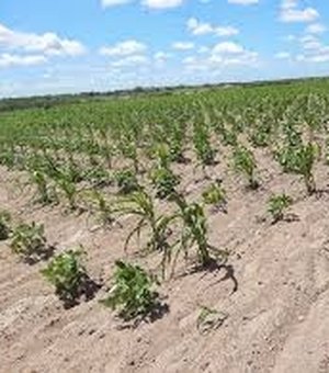 Seca será mais rigorosa em Alagoas em 2016