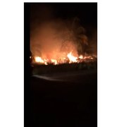 Incêndio atinge coqueiros de Ponta de Mangue em Maragogi