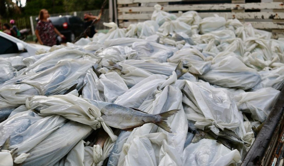 Prefeitura de Palmeira realiza entrega de mais de 20 toneladas de peixes a famílias palmeirenses