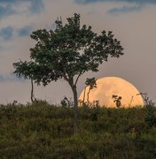 primeira 'Superlua' de 2021 vira protagonista no céu de Brasília
