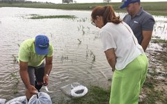 Prefeitura e Codevasf realizam peixamento com mais de 35 mil alevinos em Lagoa da Canoa
