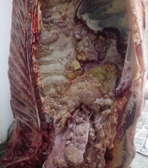 Carne é vendida em bancas enferrujadas em Arapiraca