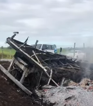 [Vídeo ] Caminhão é destruído pelo fogo após colidir em árvore