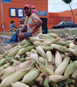 [Vídeo] Venda de milho verde aquece a economia informal em Arapiraca durante o São João