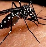 Campanha nacional de mobilização contra o Aedes começa neste mês